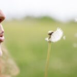 allergia_pic1